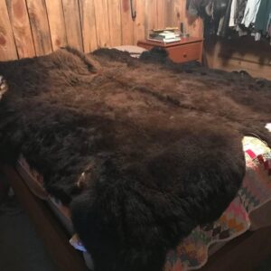 tanned buffalo hide.